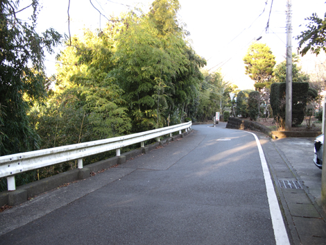 20161229hike (335)